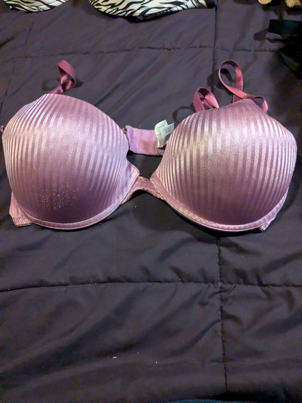 Jaclyn Smith Shimmery Mauve Padded Bra with Subtle Ribbed Texture